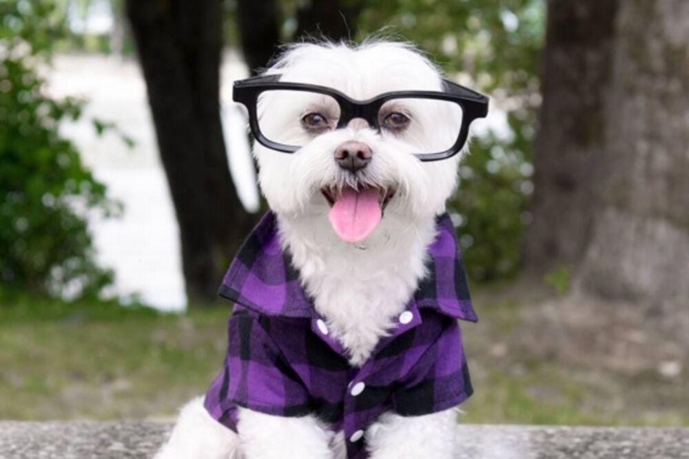 Tobi, Foto: Instagram