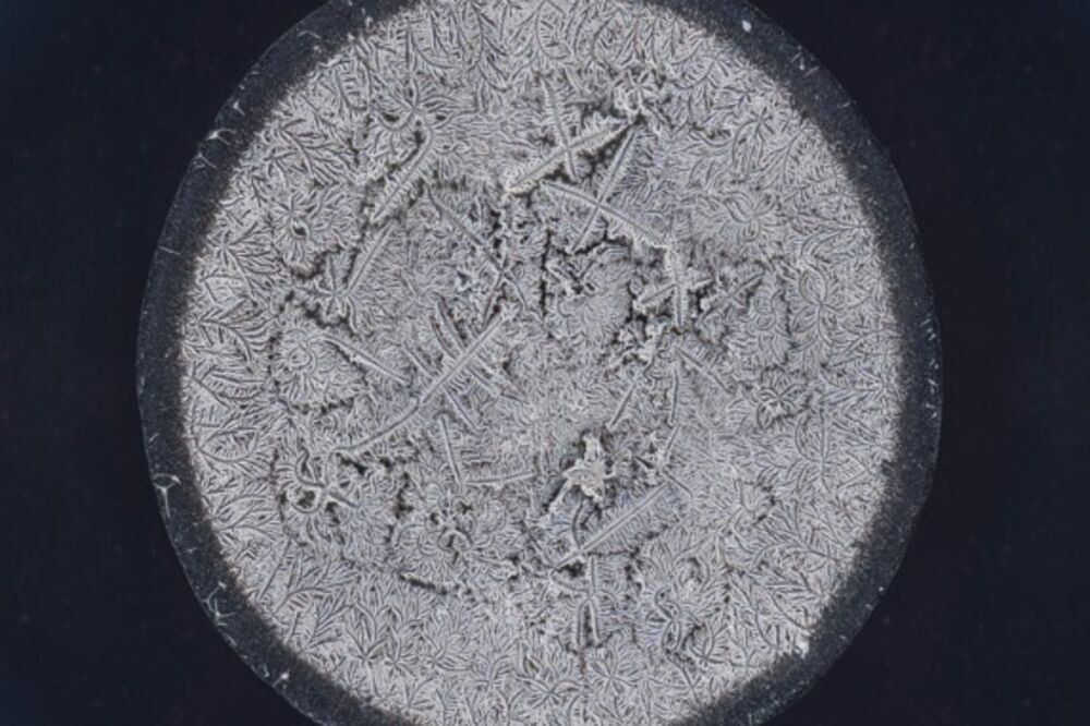 suze, Foto: Instagram