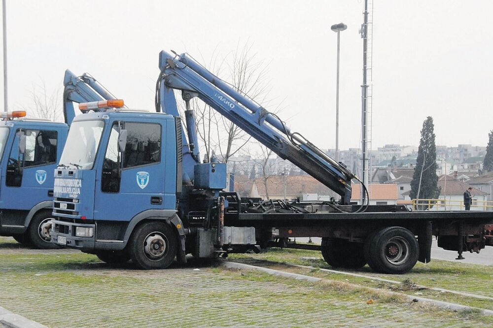 pauk, SC Morača, Foto: Arhiva “Vijesti”