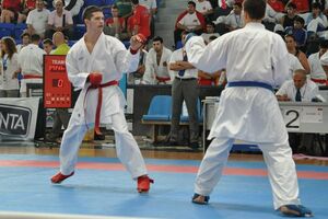 Reprezentacija na Svjetskom kupu u Laškom