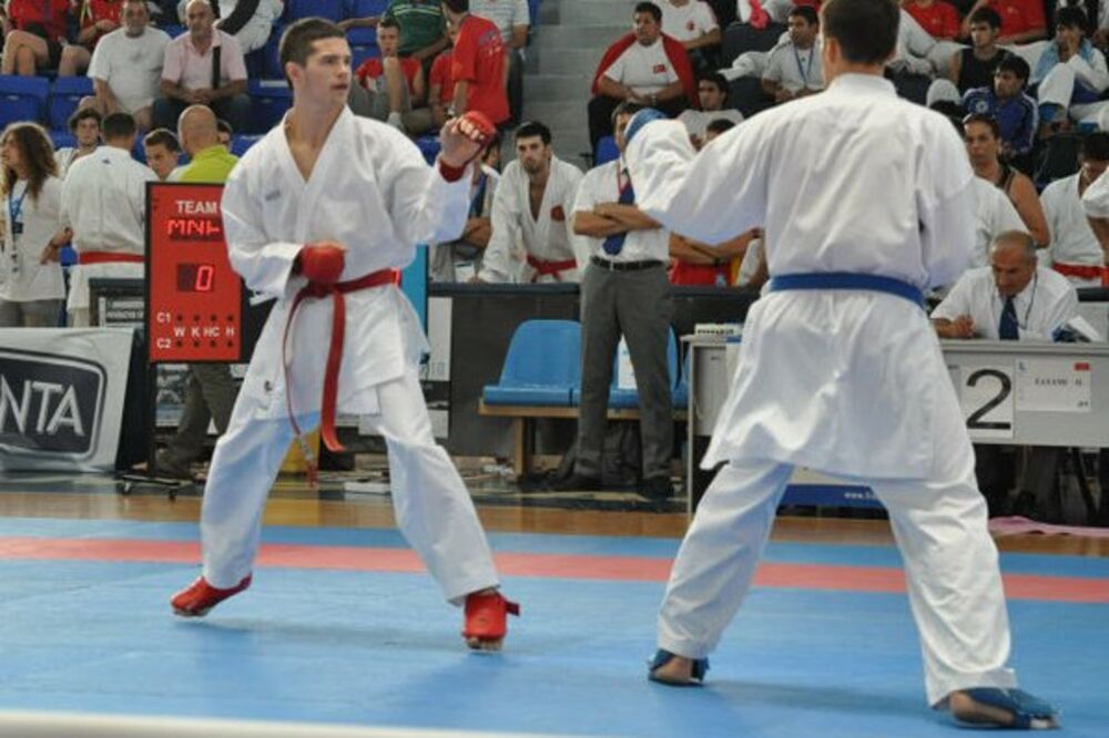 Ljubiša Mihailović, Foto: Privatna arhiva