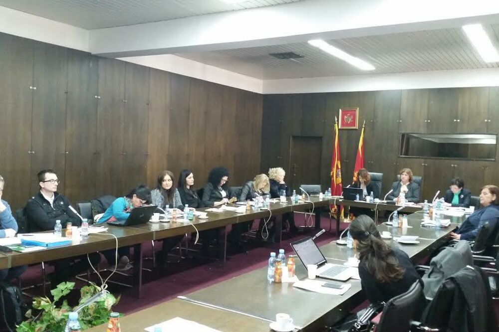 Savjet za razvoj NVO, Foto: Vlada Crne Gore