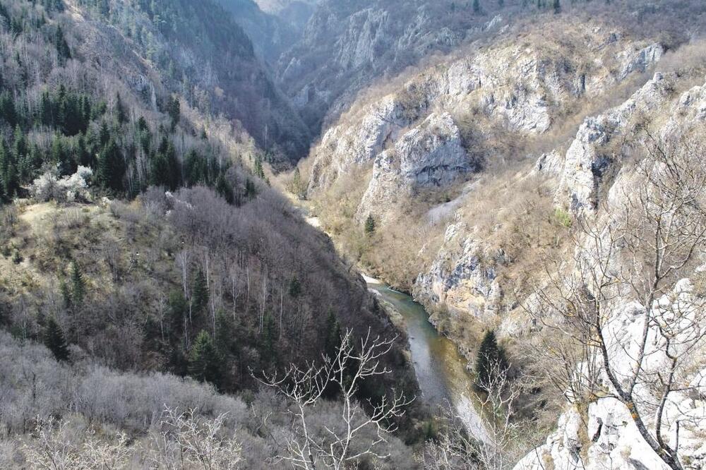 Korito rijeke Ibar, Foto: Kozlak