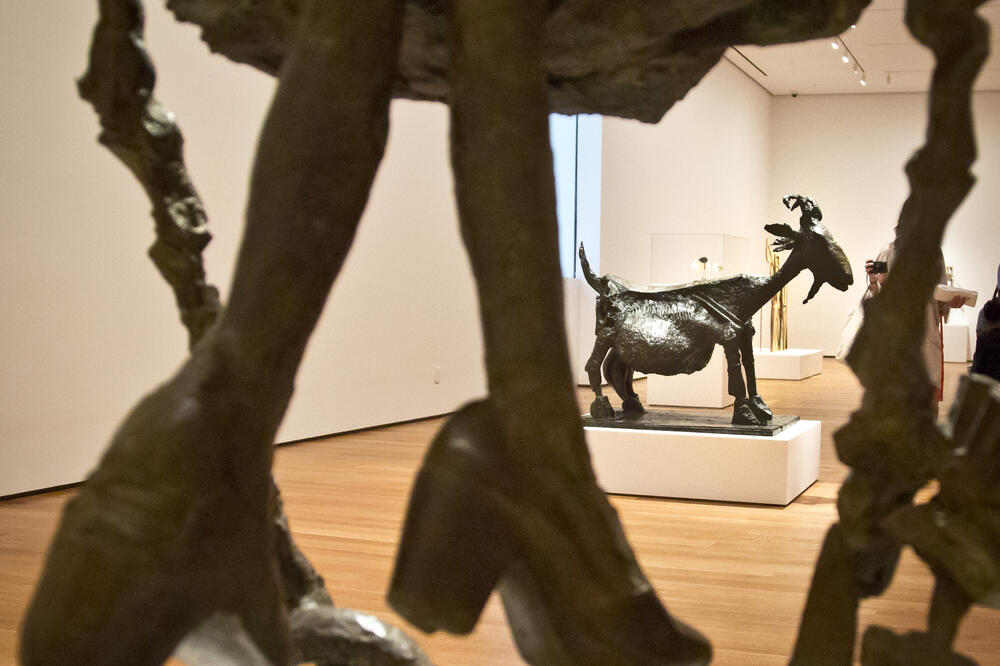 Pablo Pikaso, Foto: Beta/AP