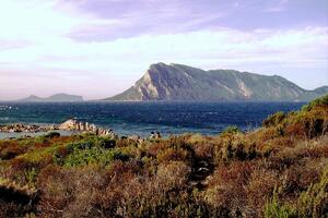 Najobičniji vladar na svijetu ima kraljevstvo sa 11 građana,...