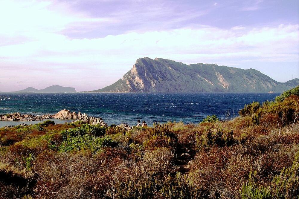 tavolara, Foto: Wikipedia.org