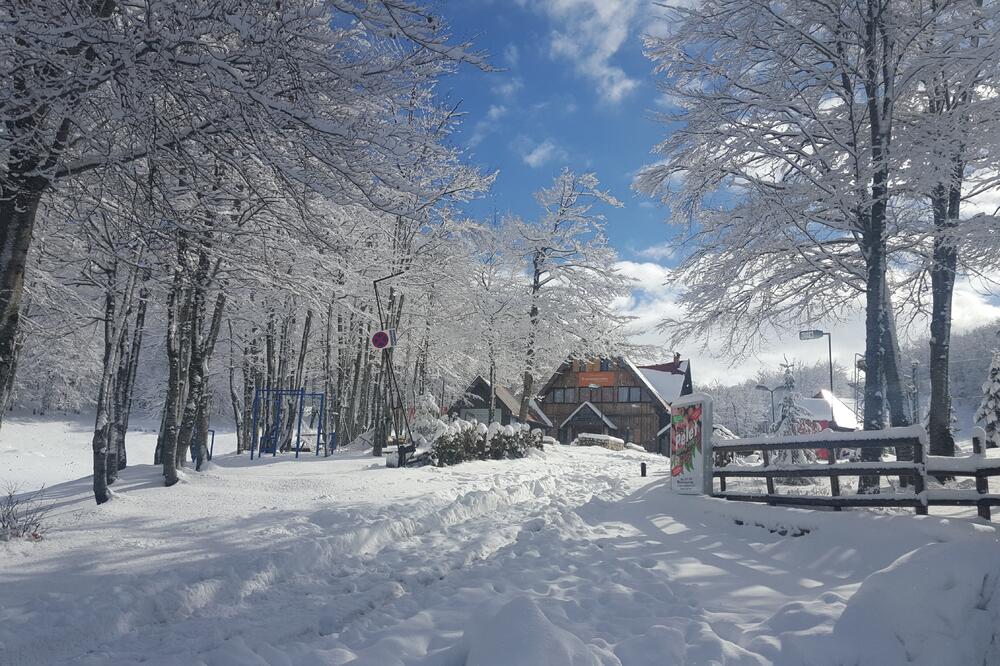 Vučje, Foto: Svetlana Mandić