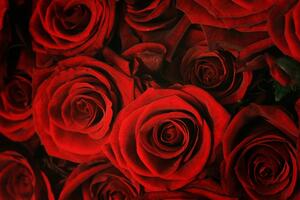Mreža žena PzP: Ruža u celofanu na današnji dan ne znači ništa