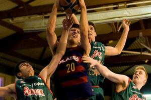 Žižić na Ol staru u Bruklinu