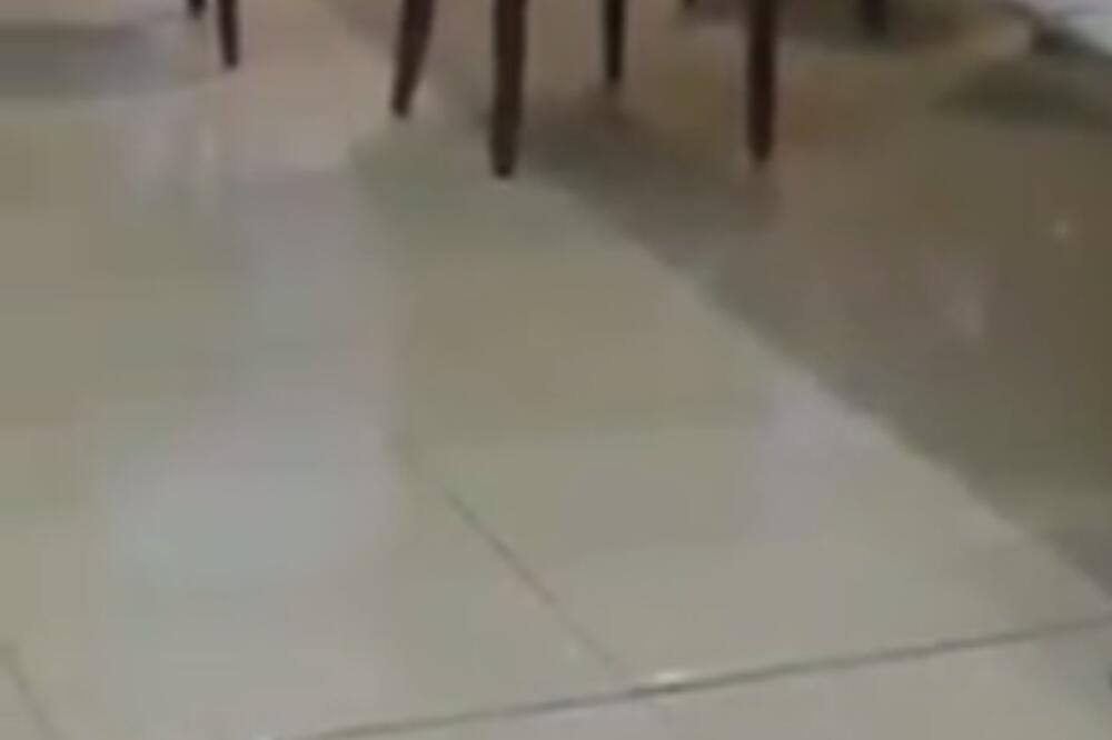 Delta kiša, Foto: Printscreen