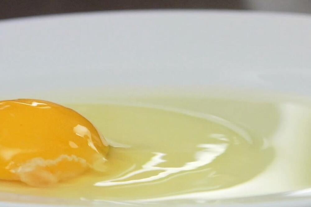 jaja, Foto: Screenshot (YouTube)