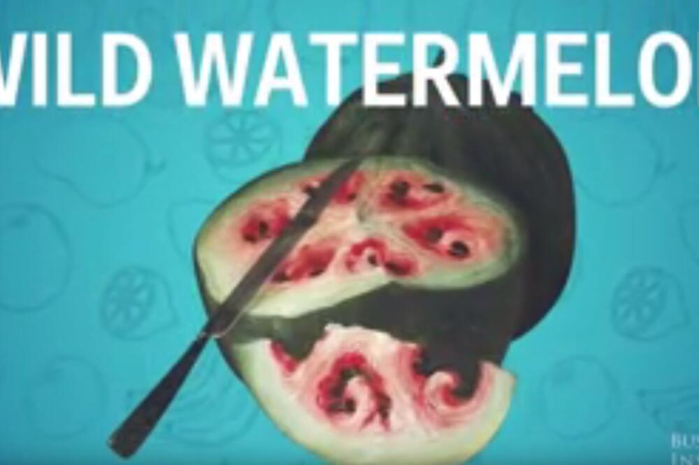 lubenica, Foto: Screenshot (YouTube)