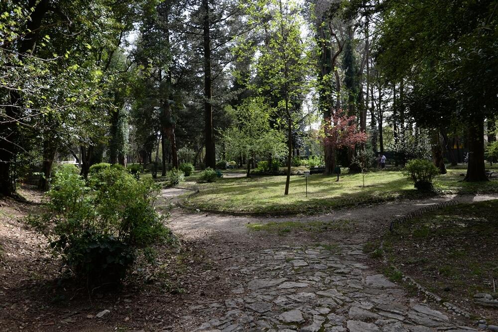 Tivatska botanička bašta, Foto: Siniša Luković