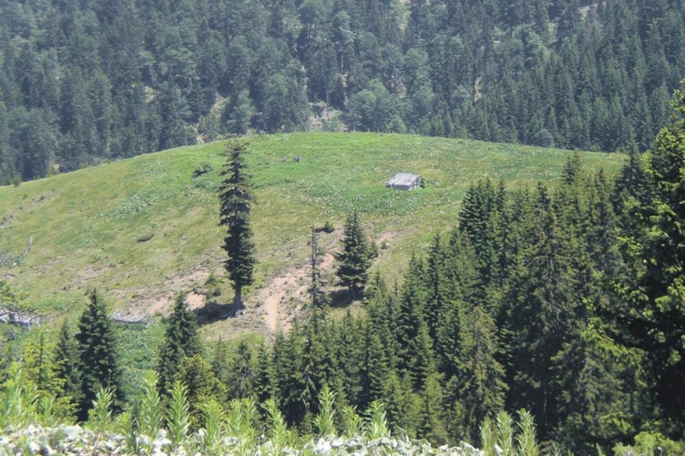 katuni kod Kule, Kula, Foto: Aida Sadiković