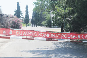 Planovi Savjeta za privatizaciju