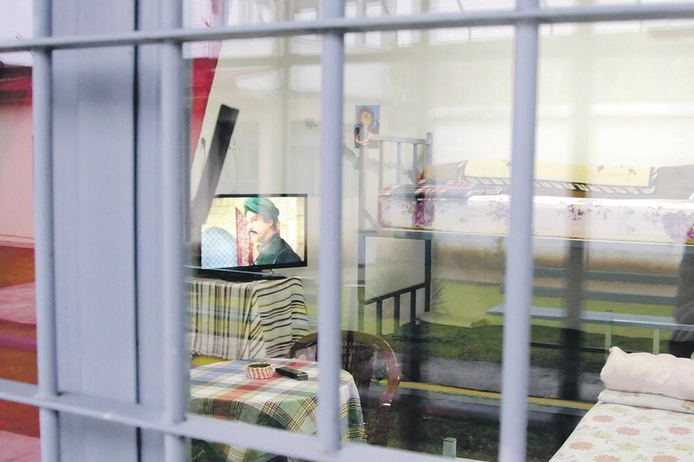 ZIKS, Foto: Boris Pejović