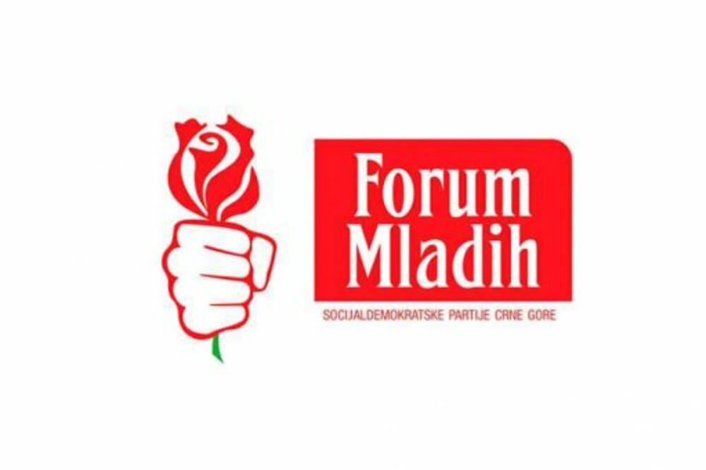 Forum mladih SDP, Foto: Forum mladih SDP