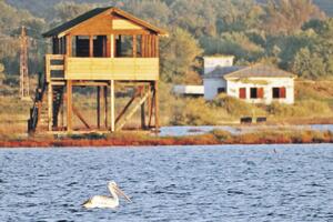 Đe je taj Ulcinj, bre