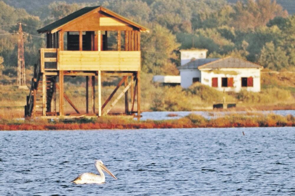 Solana (Novina), Foto: Solana-ulcinj.me
