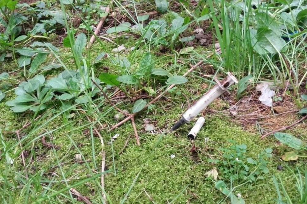 igla. špric, Foto: PR Centar