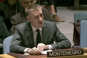 Lukšić: The Security Council should use the potential to...