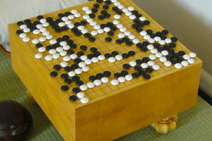 Šampion u gou se nada pobjedi nad kompjuterom