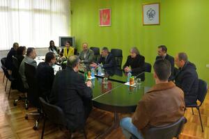 Riječani gosti Praznika mimoze