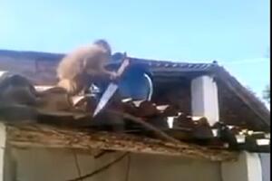 Majmun se napio, uzeo nož i prijetio mještanima