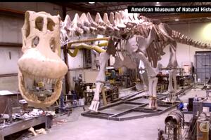 Upoznajte titanosaurusa: Četiri puta duži od plavog kita