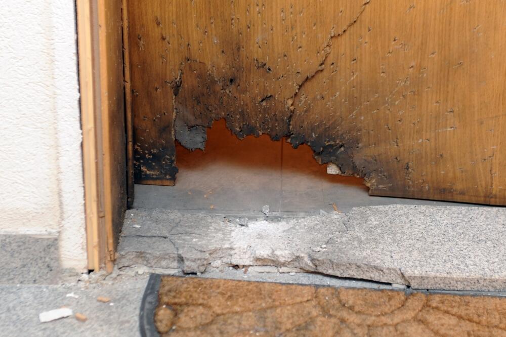 Miloš Radulović, Foto: Savo Prelević