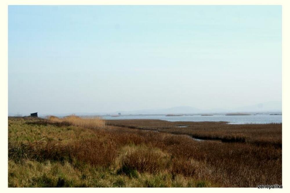 CZIP Solana, Foto: CZIP