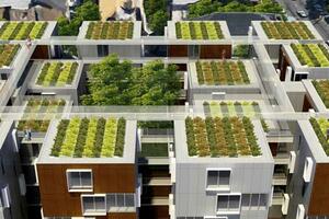 Sve nove zgrade moraju imati krov "od biljaka"