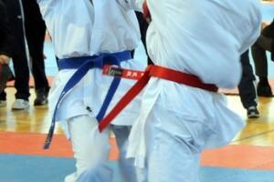 Fatić: Karate zaslužuje bolji status