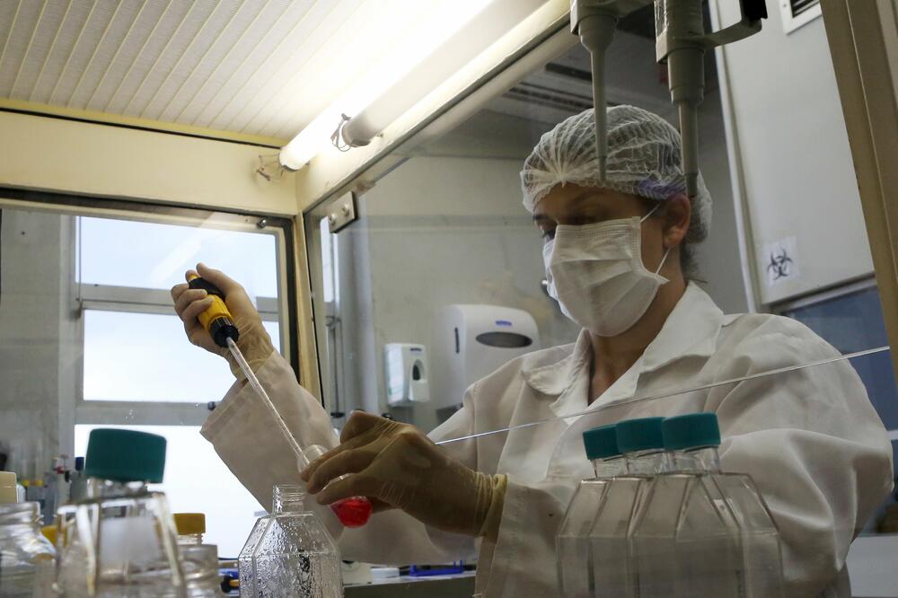 zika virus, Foto: Reuters