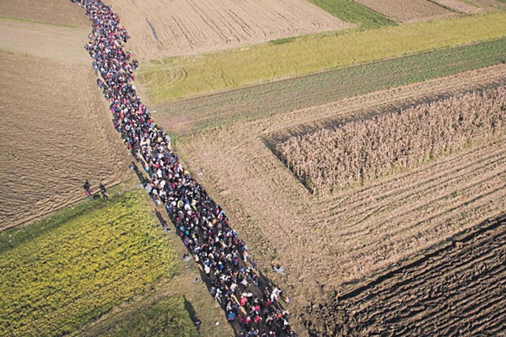 izbjeglice, Slovenija (novina), Foto: AP