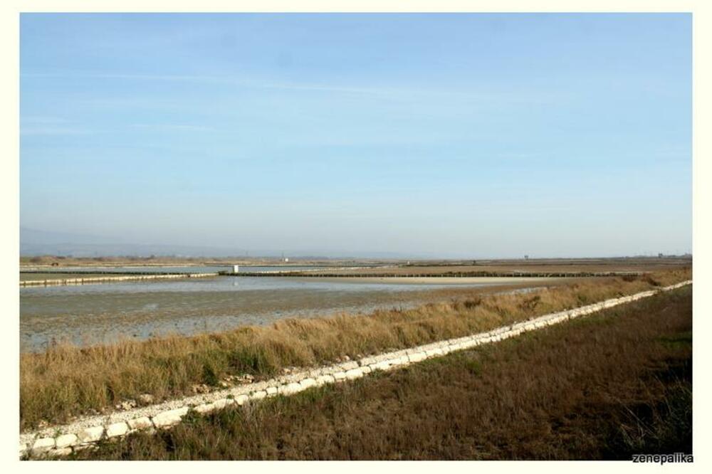 CZIP Solana, Foto: CZIP