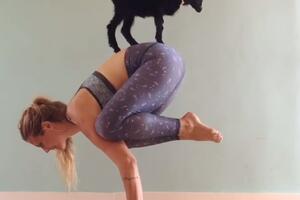 Ova djevojka i njena koza su najbolji partneri za jogu