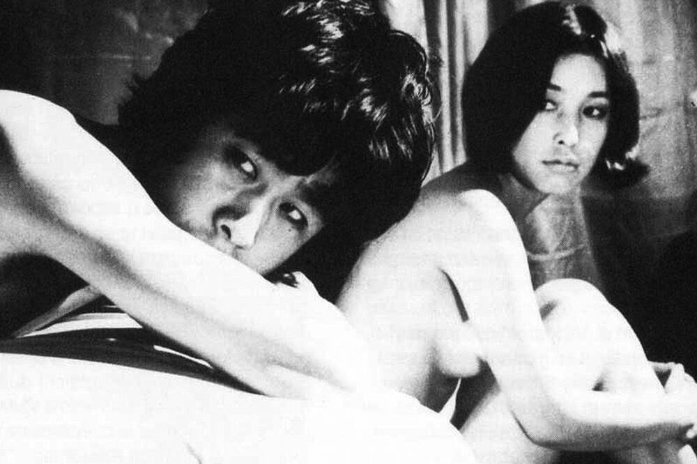 Dnevnik Shinjuku lopova (novina)