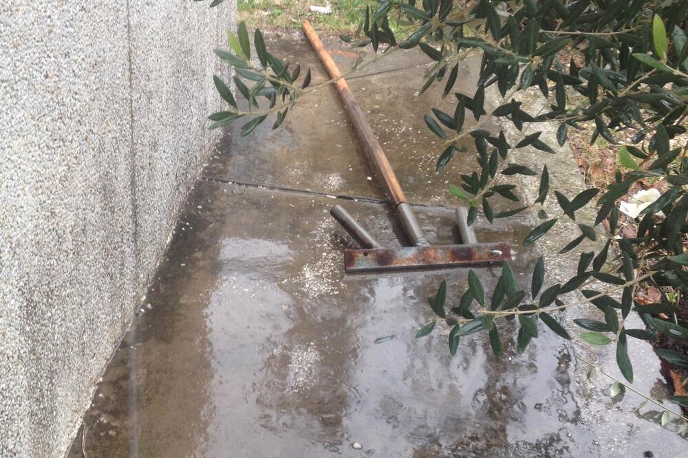 Nacionalni savjet Albanaca zastava, Foto: Nacionali savjet Albanaca