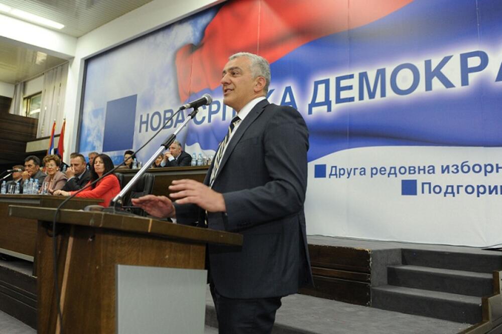 NOVA, izborna skupština, Foto: Savo Prelević