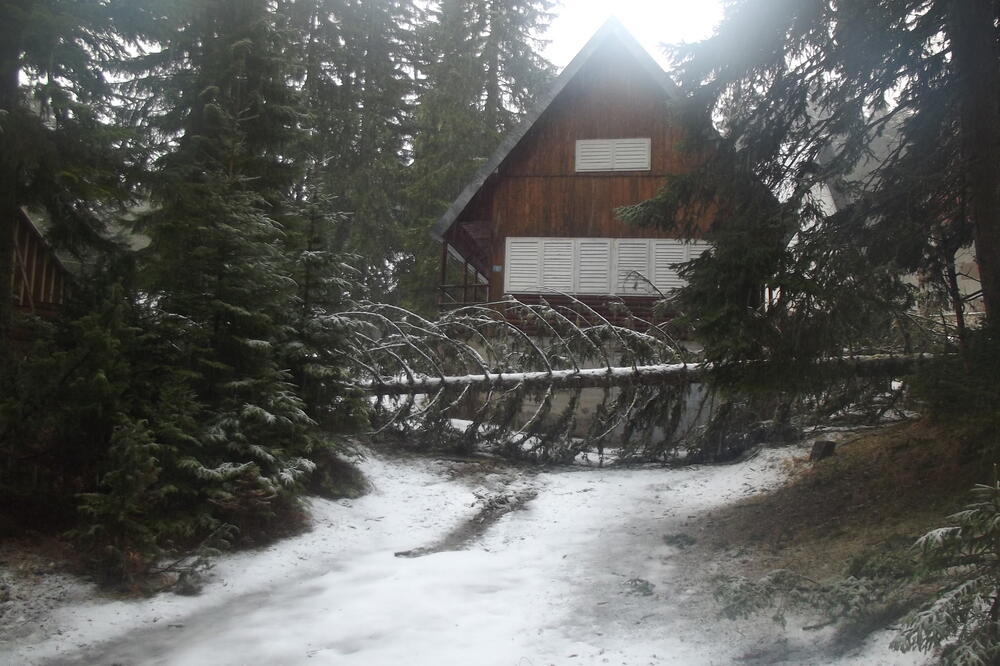Žabljak, nevrijeme, Foto: Obrad Pješivac