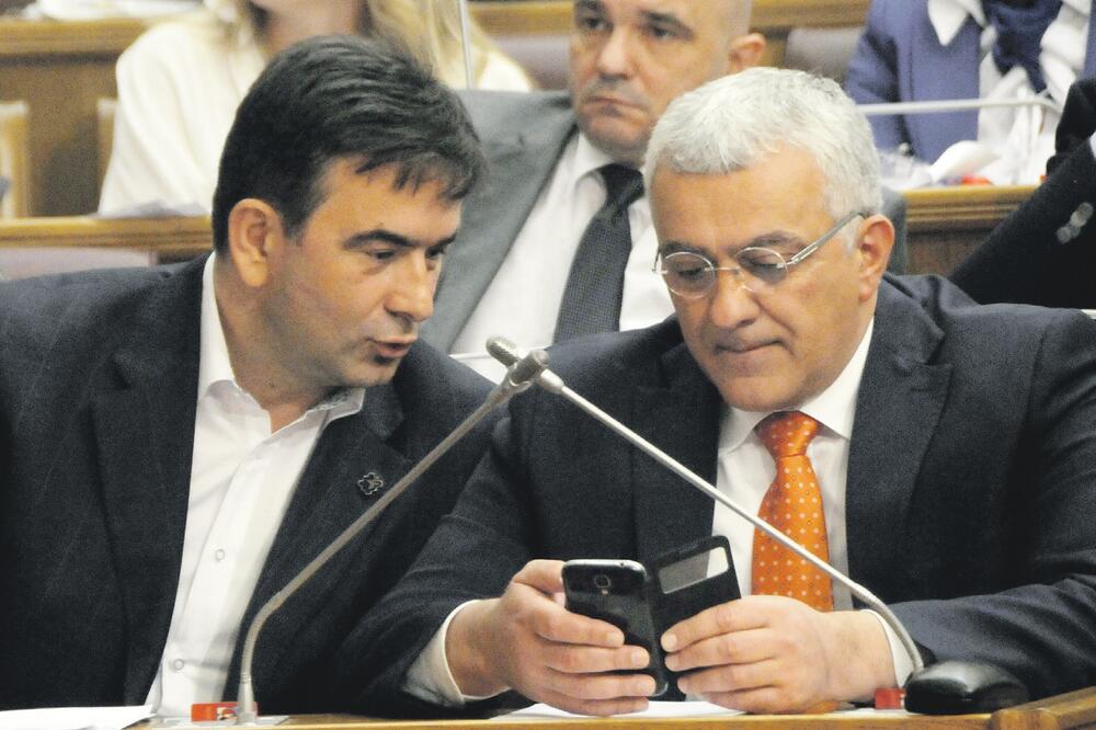 Nebojša Medojević, Andrija Mandić, Foto: Luka Zeković