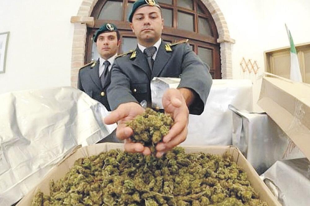 Policija, marihuana (Novine), Foto: Channel-one.al