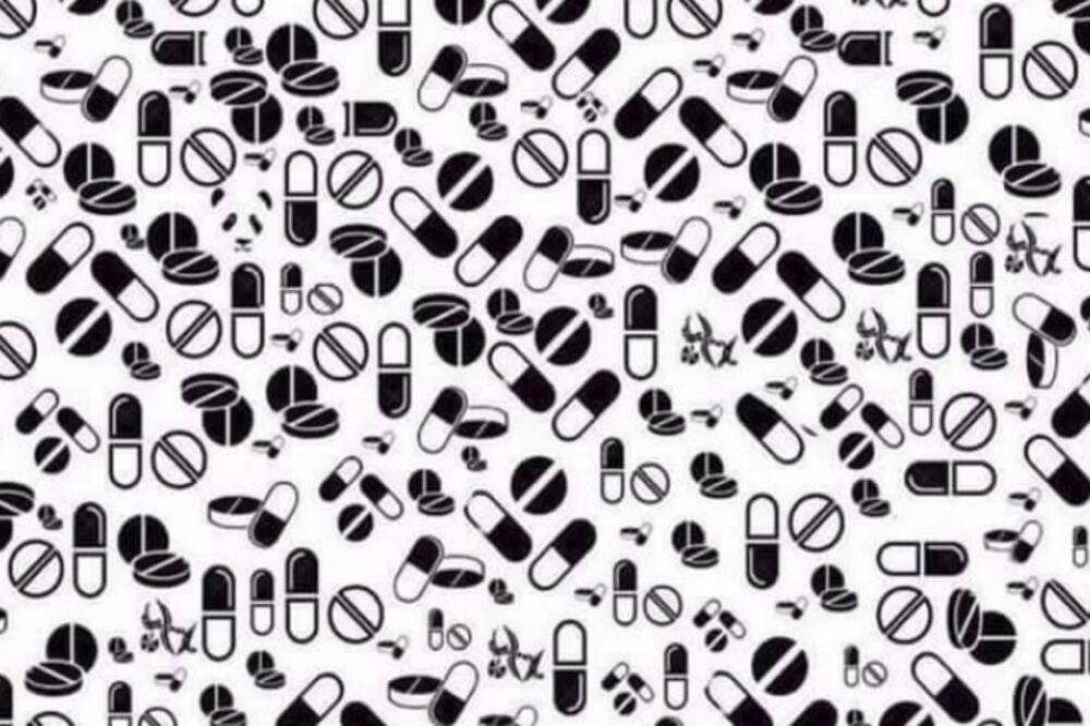 Panda test, Foto: Printscreen