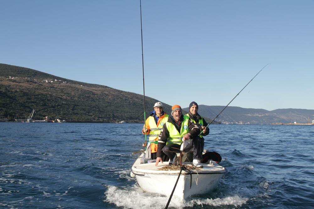 Kup Mimoza, Foto: Slavica Kosić