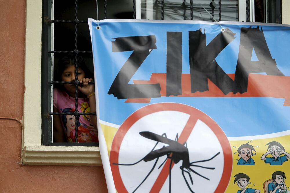 virus Zika, Foto: Reuters