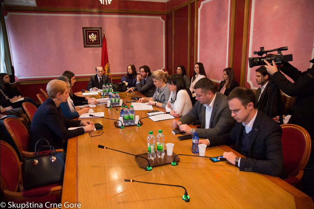 Sa sjednice Odbora, Foto: Skupština Crne Gora