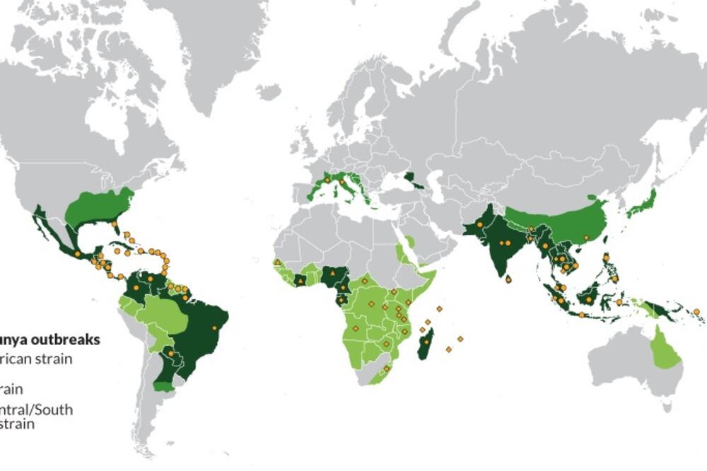Zika virus mapa, Foto: SZO