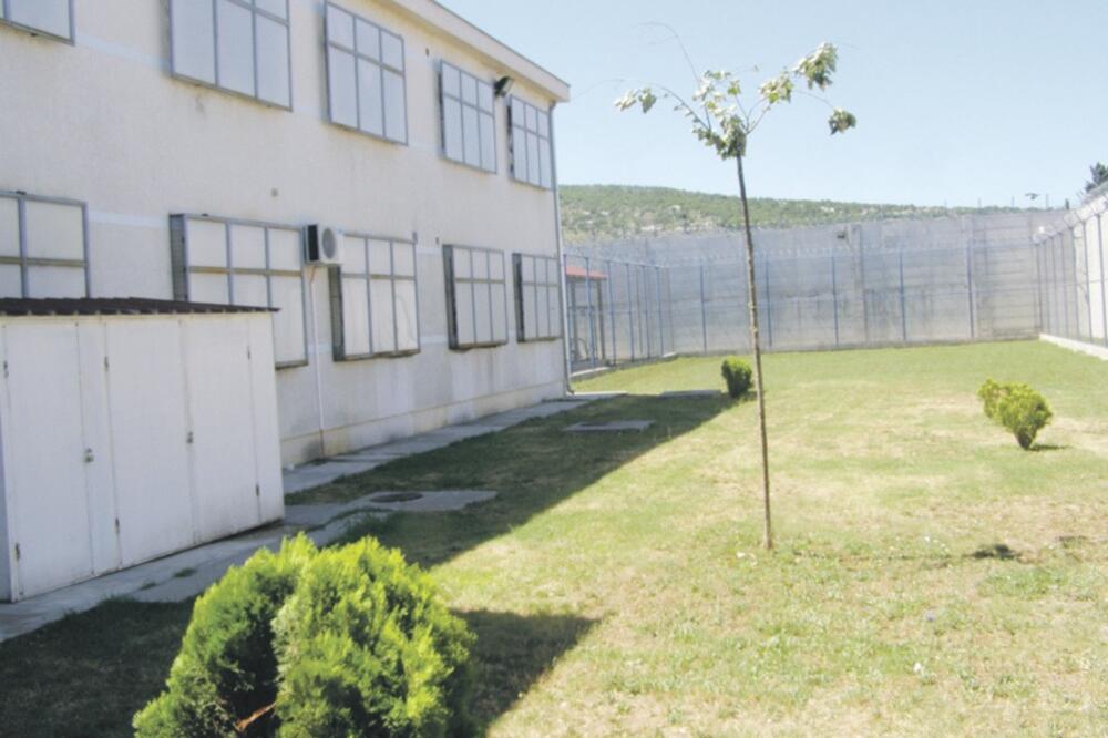 ZIKS, Foto: Arhiva Vijesti