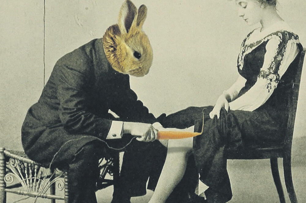 Rad Siniše Radulovića